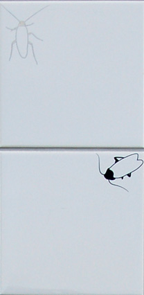 test plaatje 208 px breed