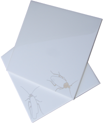 zilveren kakkerlak